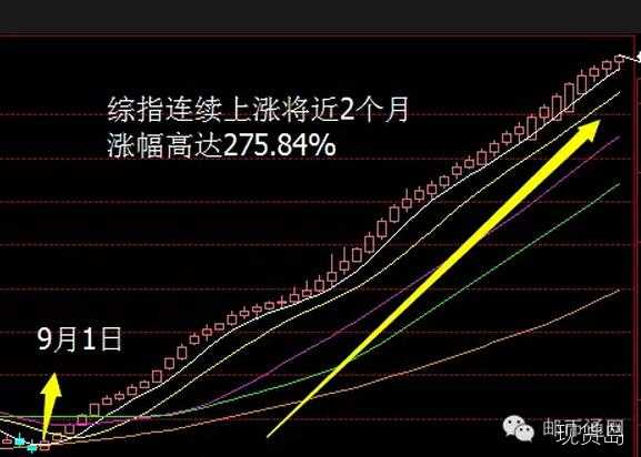 安贵邮币卡50个交易日中大盘无一日不红