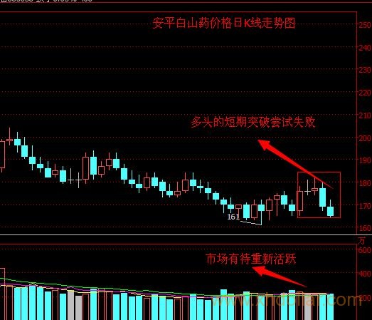 安平白山药1