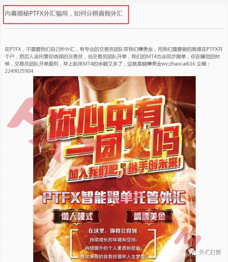 号称每月躺赚30% PTFX会成为下一个跑路的资金盘吗？