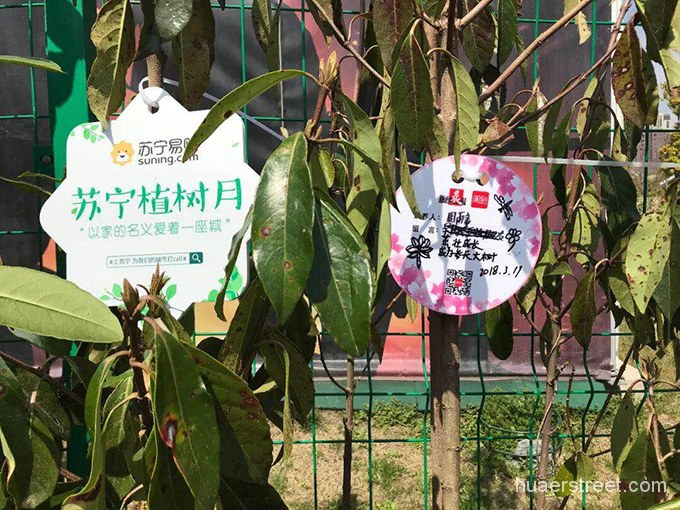 为绿色家园“打call” 苏宁举办“阳光1+1”环保公益植树活动